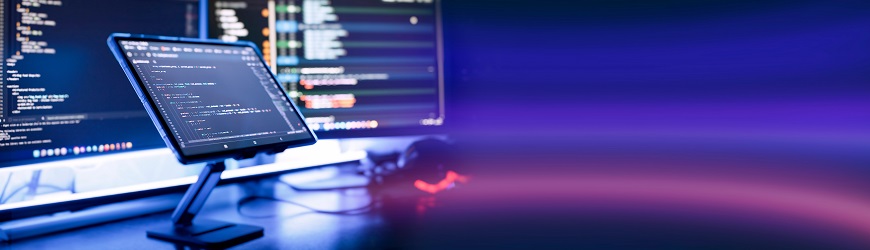 Il Sito Web